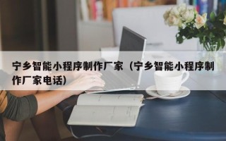 自贡宁乡智能小程序制作厂家（宁乡智能小程序制作厂家电话）