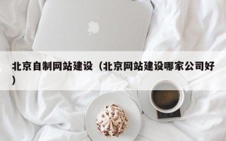 自贡北京自制网站建设（北京网站建设哪家公司好）